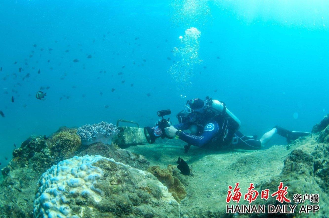 消防员第一次进火场是什么感受?他们会害怕吗?有问必答平台-全面解答您的疑惑