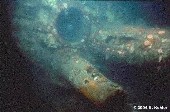 加入过期啤酒的用处有哪些?,开启知识星球的畅快之旅